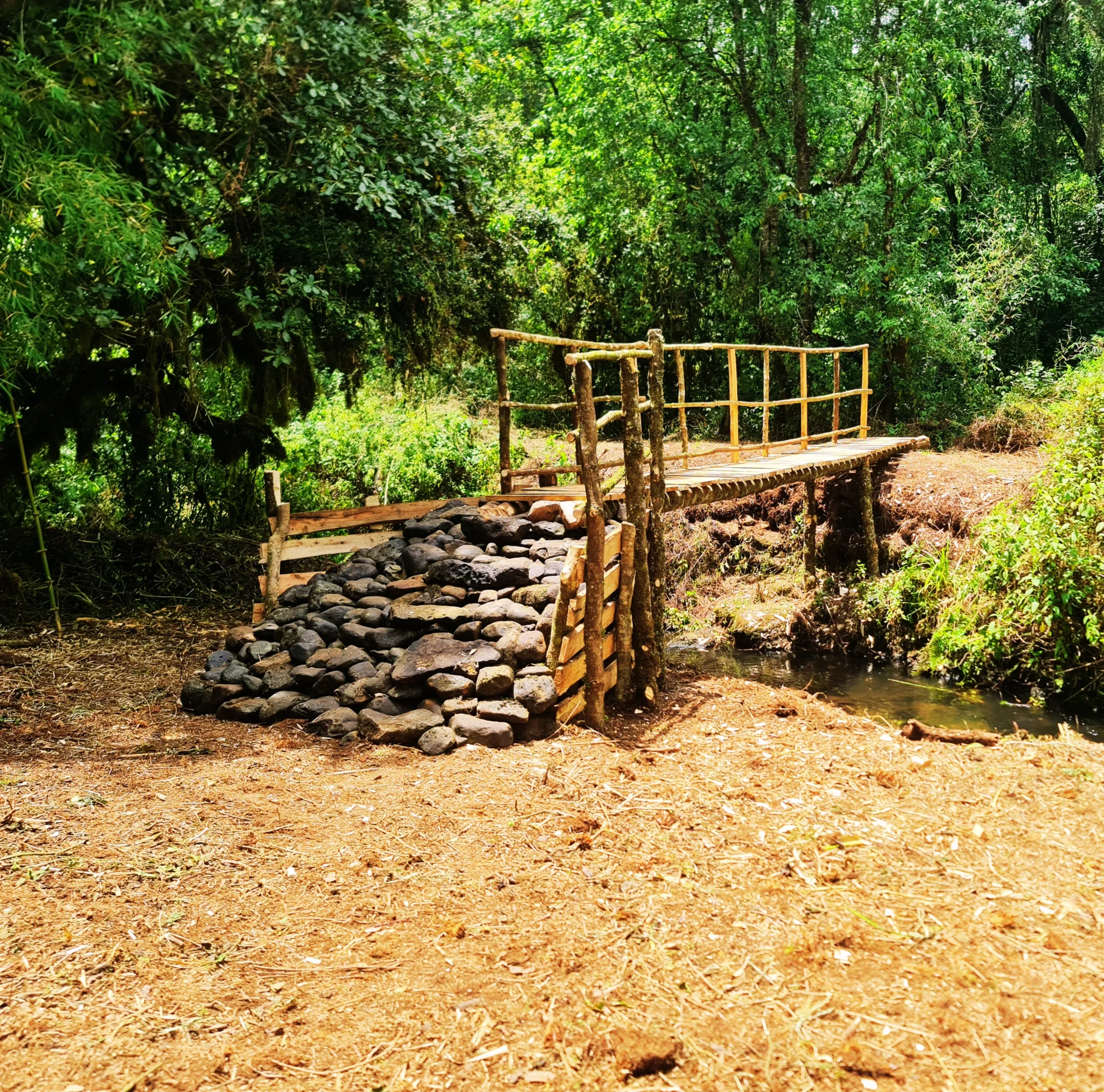 Bridge over Dirigana River on the Sasa Trail
