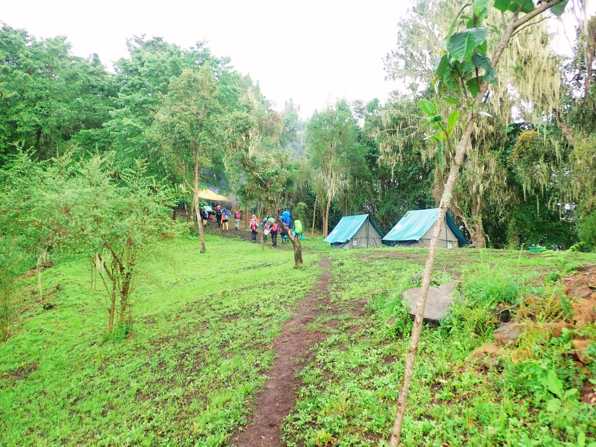 Camping at Hunwick's Camp on Sasa Trail