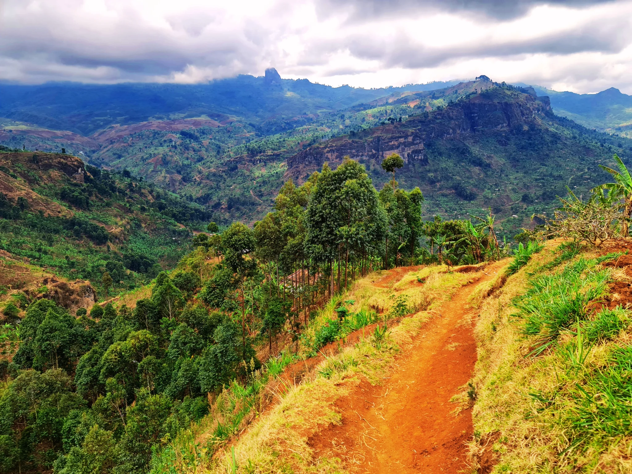 Community along Sasa Trail