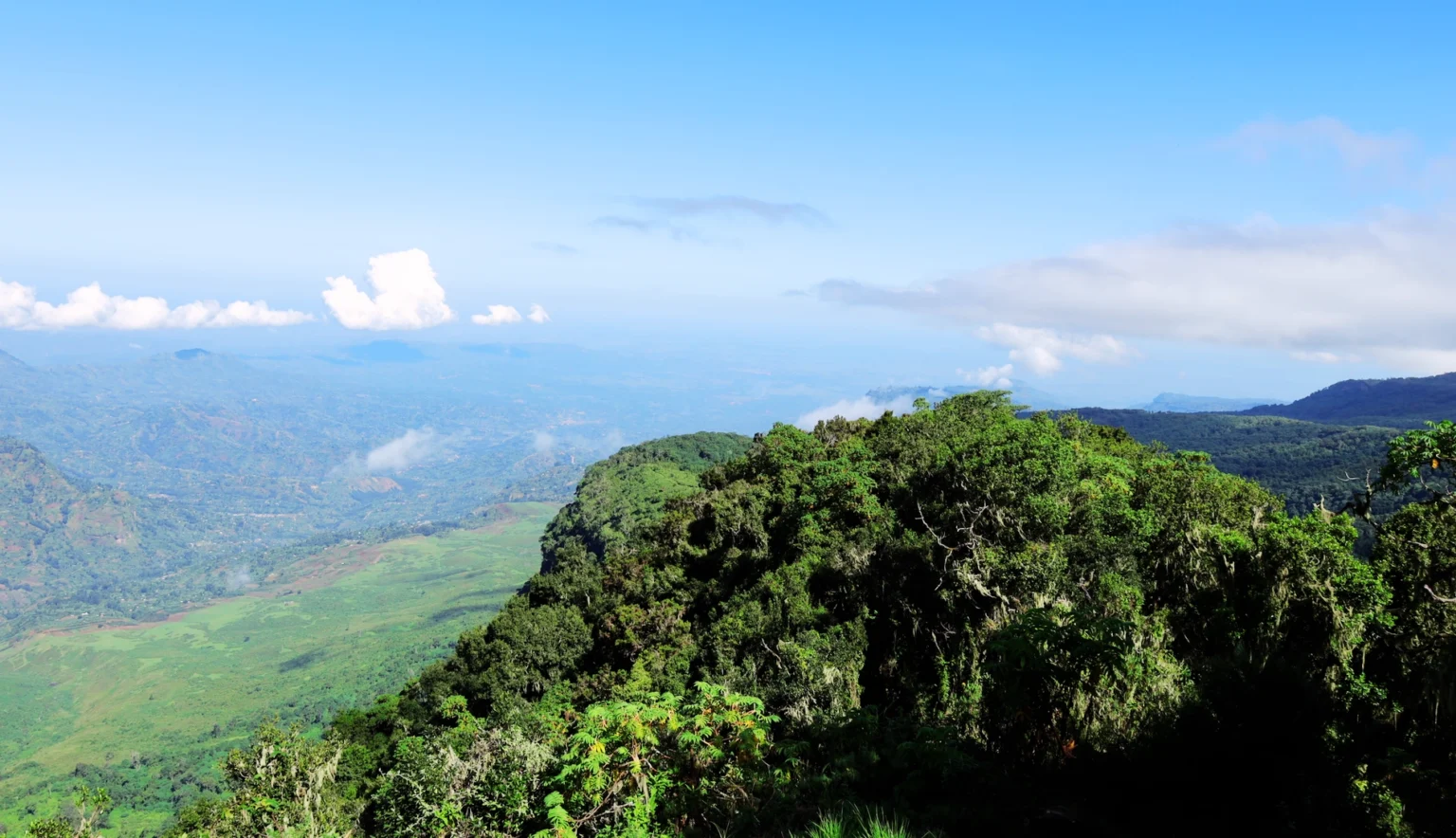 Views along the Sasa Trail, Mt Elgon