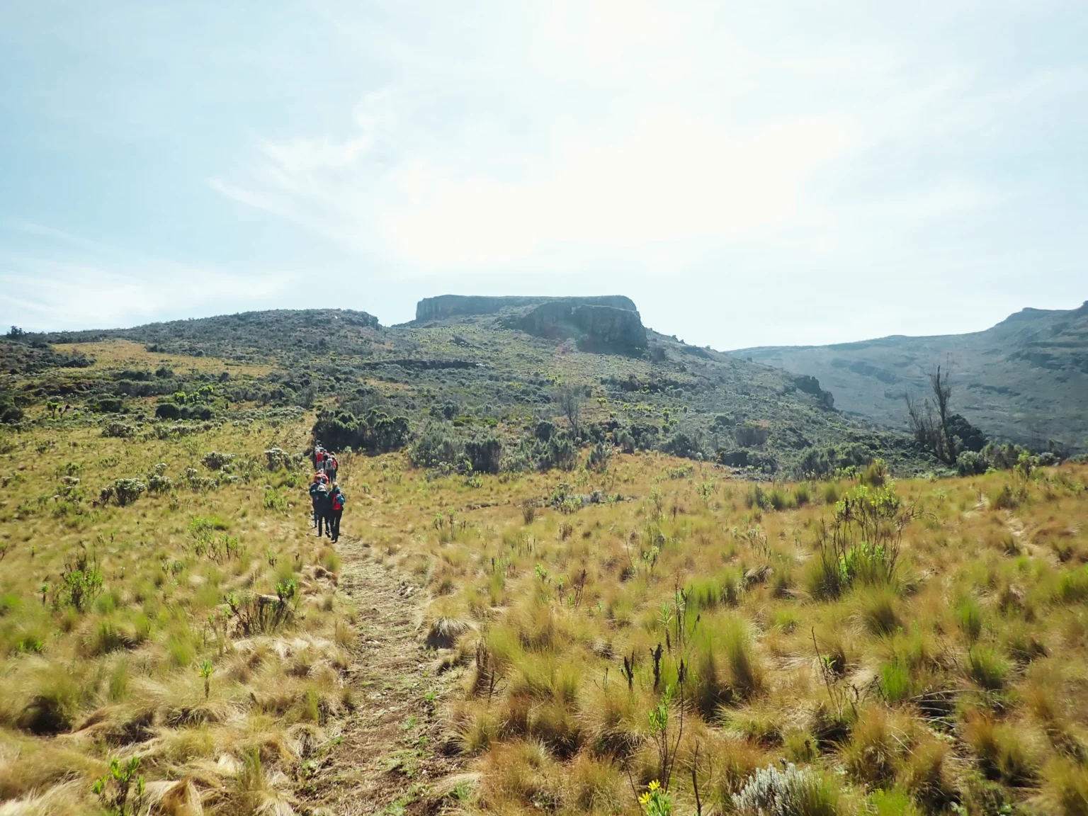 Hiking toward Masaba Table on the Sasa Trail