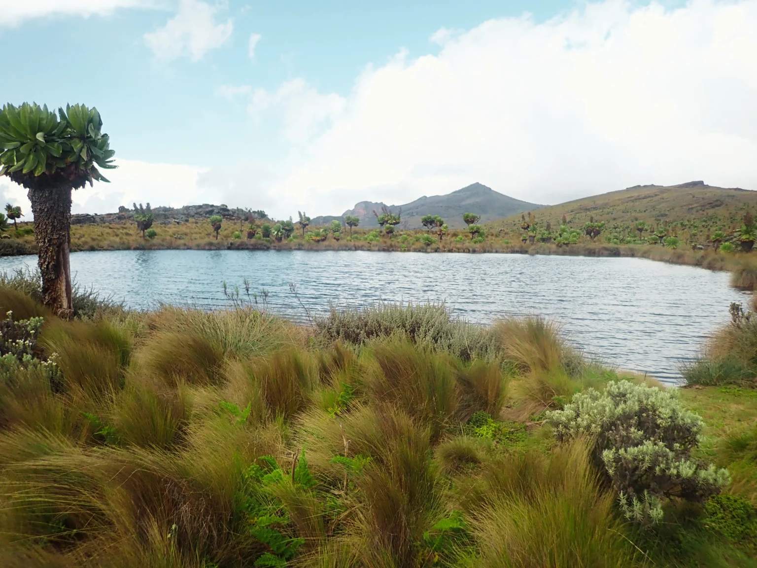 Jackson's Pool, Mt Elgon National Park