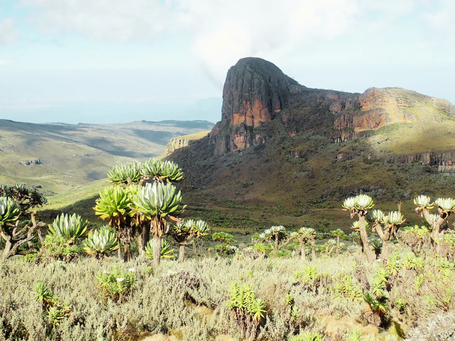 Masaba Summit 4,152m, Mt Elgon National Park Uganda