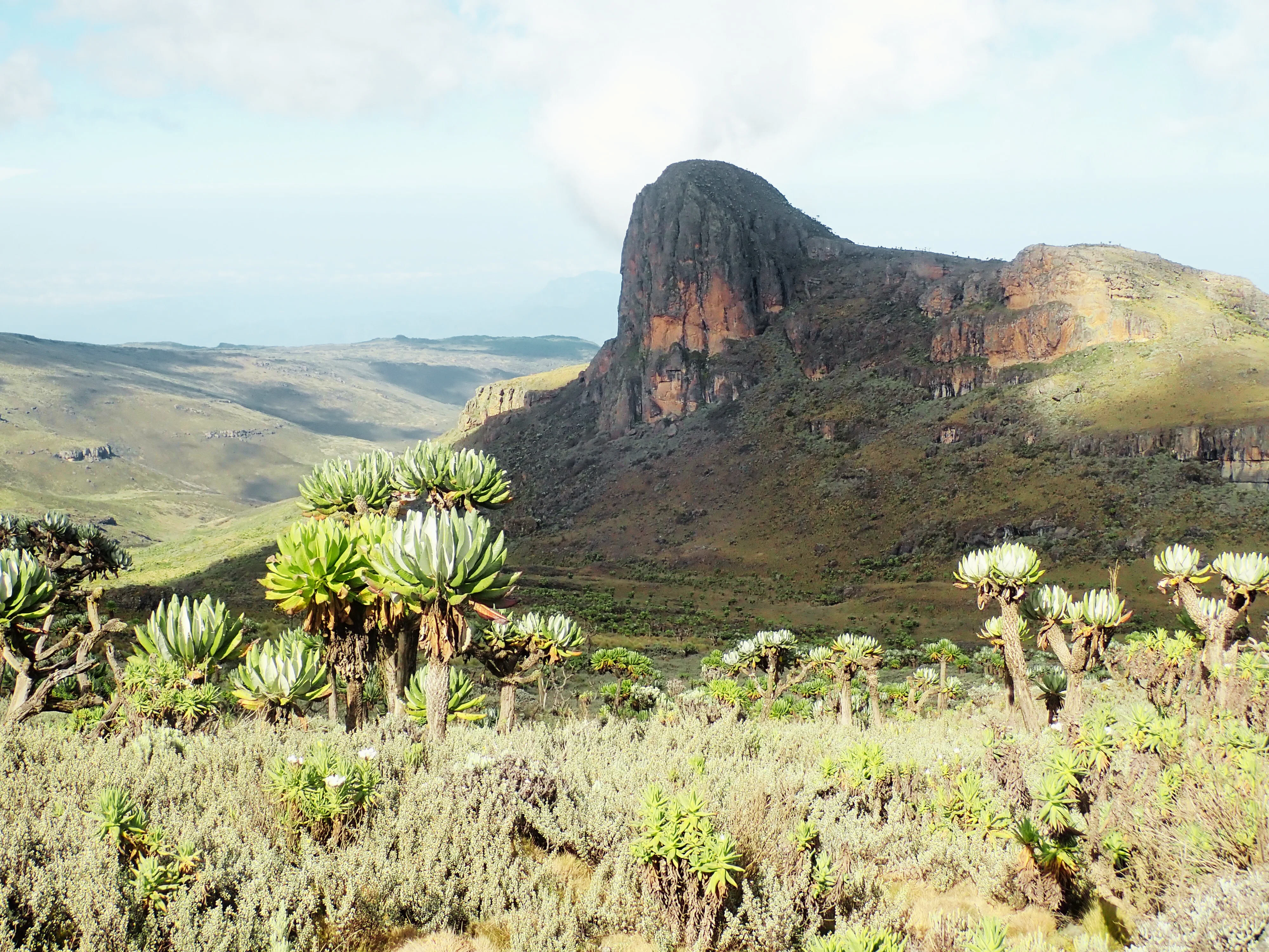 Masaba Summit 4152m, Mt Elgon National Park, Uganda