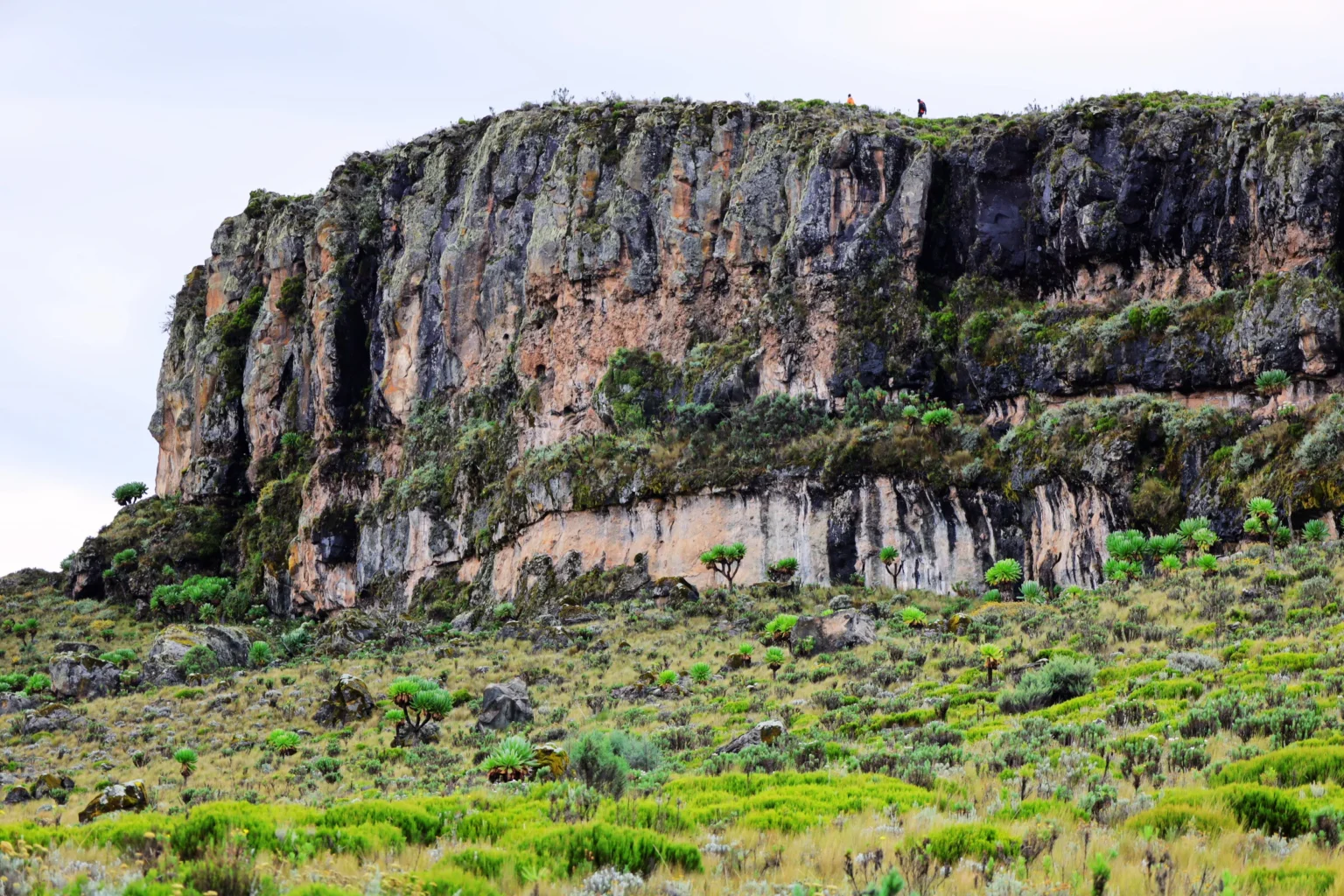 Masaba Table, Sasa Trail, Mt Elgon National Park