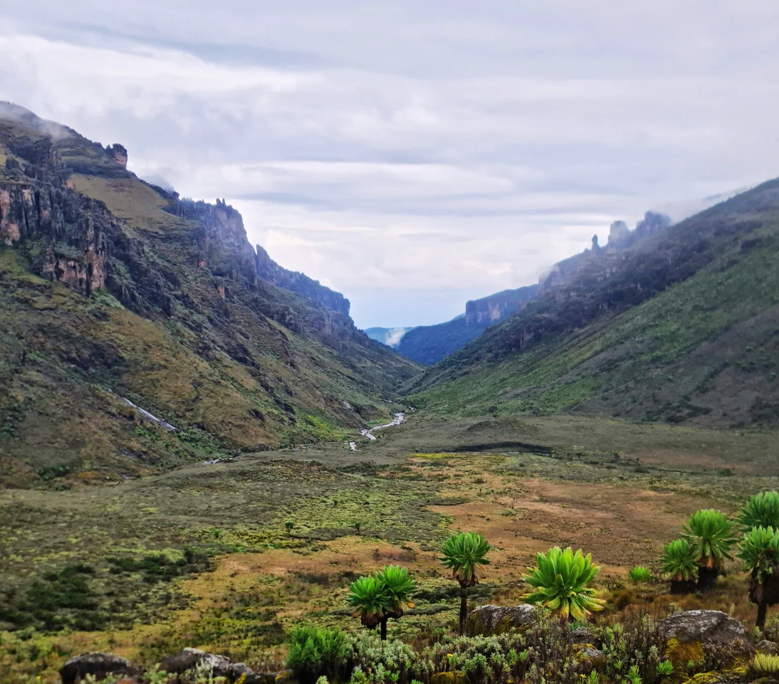 Suam Gorge on the Sasa Trail, Mt Elgon